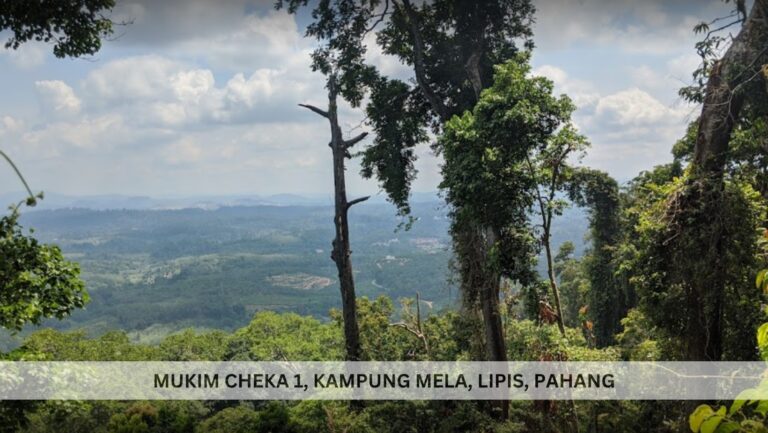 bukit